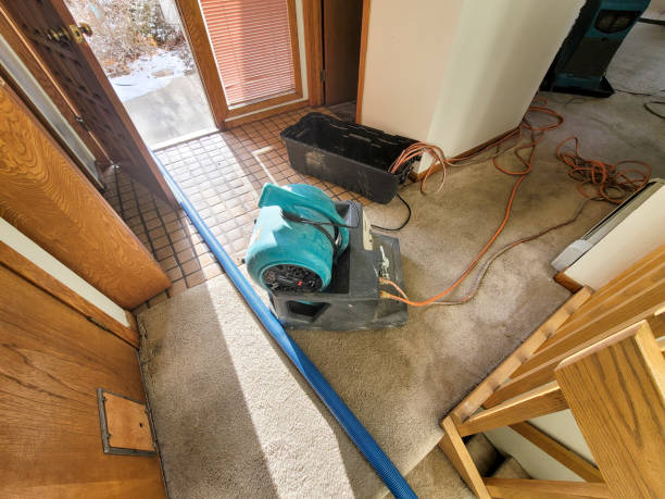 Best Professional water damage repair  in Cranston, RI