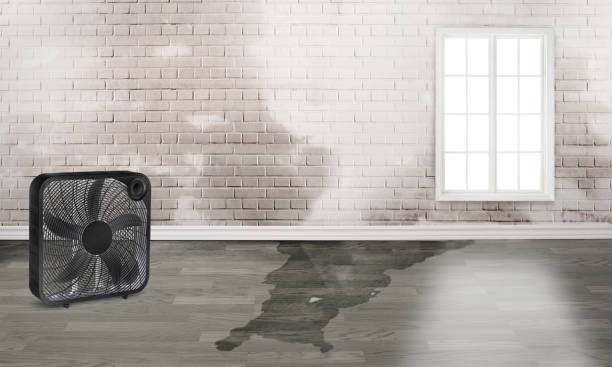 Best Residential water damage restoration  in Cranston, RI