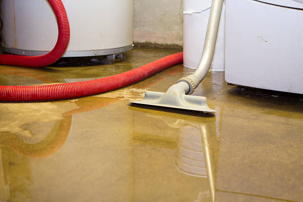 Best Water damage repair service  in Cranston, RI