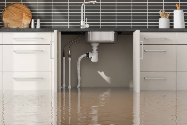 Best Sewage cleanup and water damage restoration  in Cranston, RI